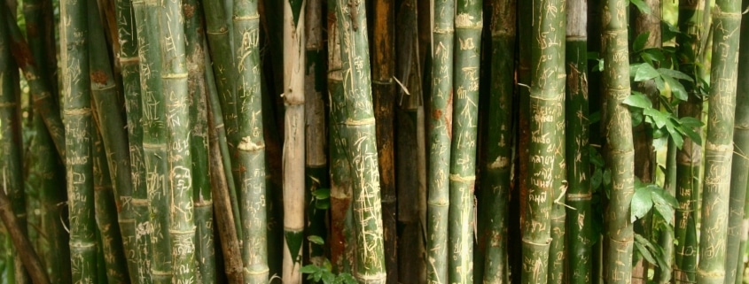 Toekomstbestendig door de inzet van verschilmakers