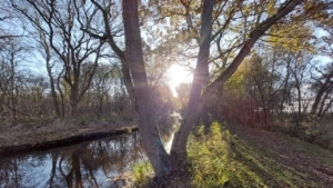Stap uit de waan Stap uit de waan