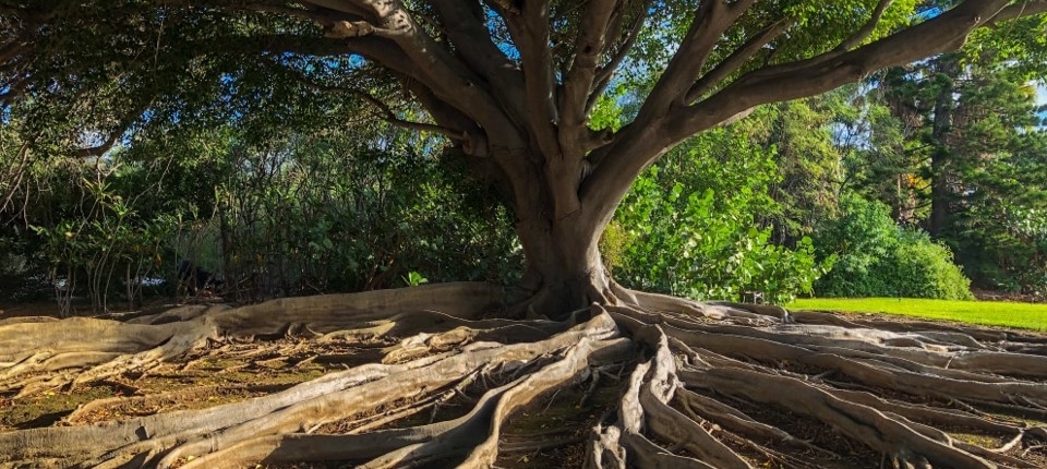 Onderstroom bovenstroom